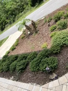 Expert landscape design for residential properties across Panama City Beach, FL - Panhandle Lawn Care & Pressure Washing