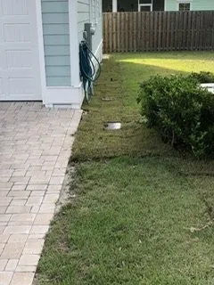 Reliable yard maintenance experts serving Panama City Beach, FL - Panhandle Lawn Care & Pressure Washing