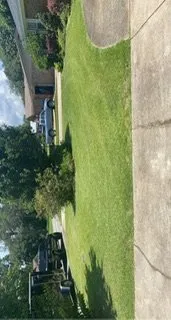 Custom outdoor landscaping with custom design across Panama City Beach, FL - Panhandle Lawn Care & Pressure Washing