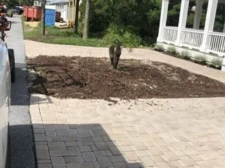 Professional landscape design for beautiful yards in Panama City Beach, FL by Panhandle Lawn Care & Pressure Washing