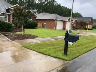 Top-rated yard cleanup service near you in Panama City Beach, FL by Panhandle Lawn Care & Pressure Washing