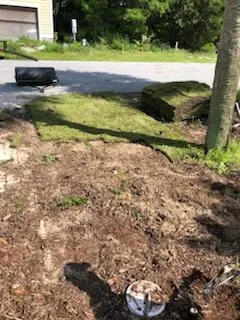 Affordable outdoor landscaping for residential properties in Panama City Beach, FL by Panhandle Lawn Care & Pressure Washing