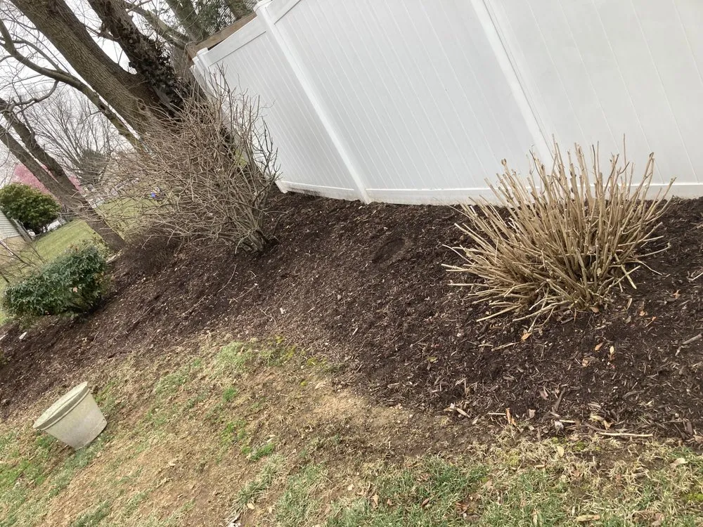 Trusted yard cleanup service in Charles Town, WV by Panhandle Property Services