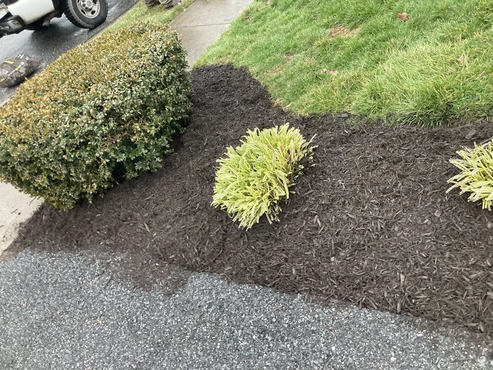 Professional lawn care service for residential properties across Charles Town, WV - Panhandle Property Services