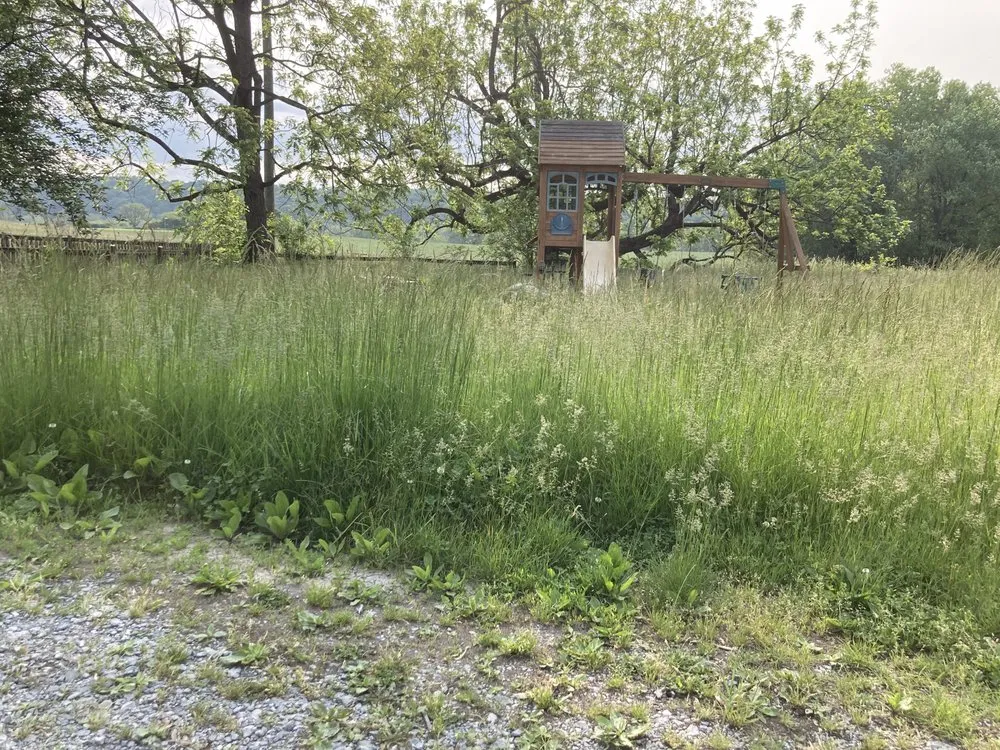 Top-rated yard cleanup service for outdoor upgrades across Charles Town, WV - Panhandle Property Services