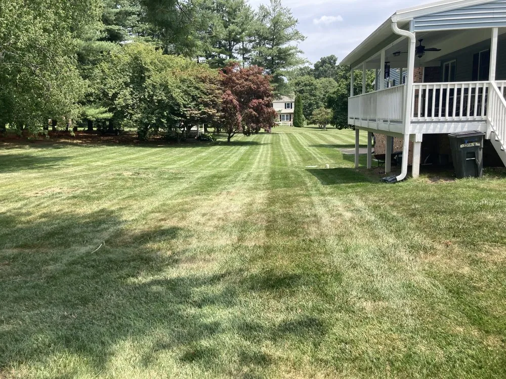 Top-rated lawn mowing service experts serving Charles Town, WV - Panhandle Property Services