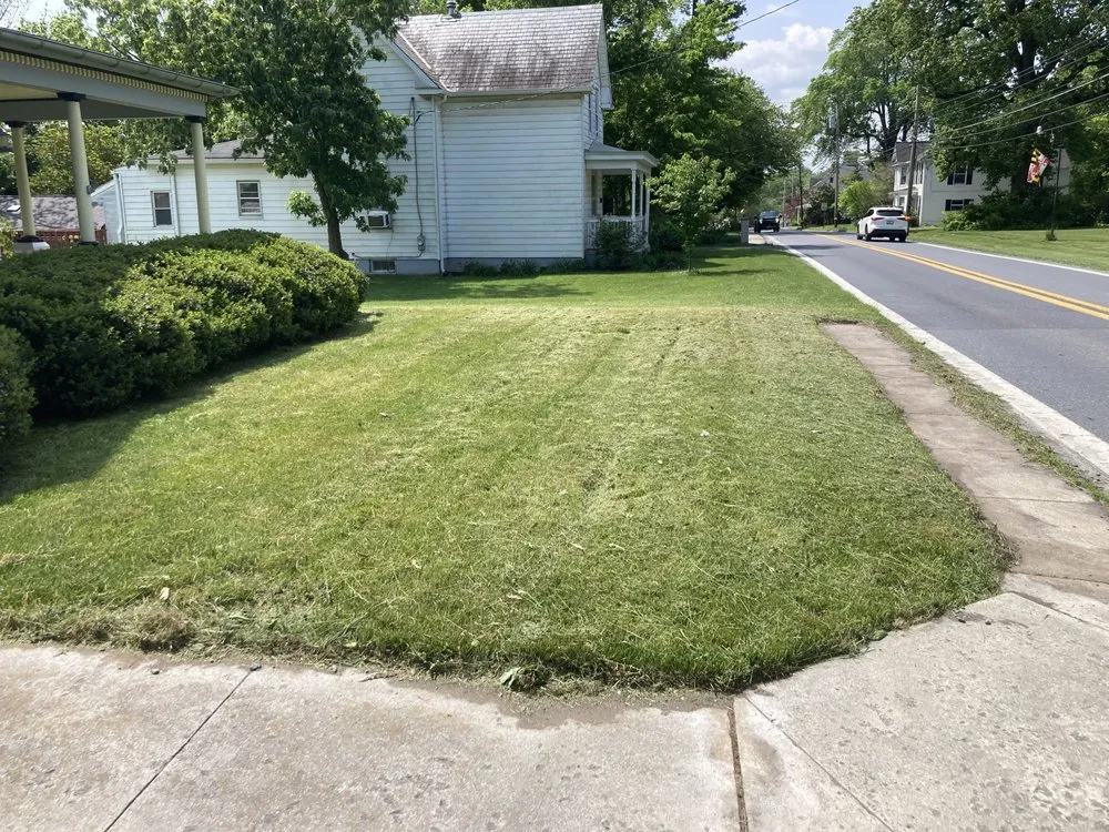 Affordable yard maintenance in Charles Town, WV - Panhandle Property Services