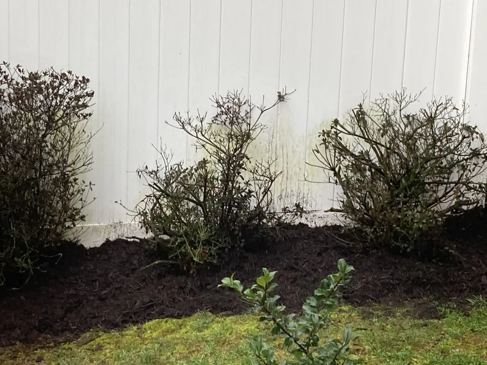 Expert yard maintenance in Charles Town, WV by Panhandle Property Services