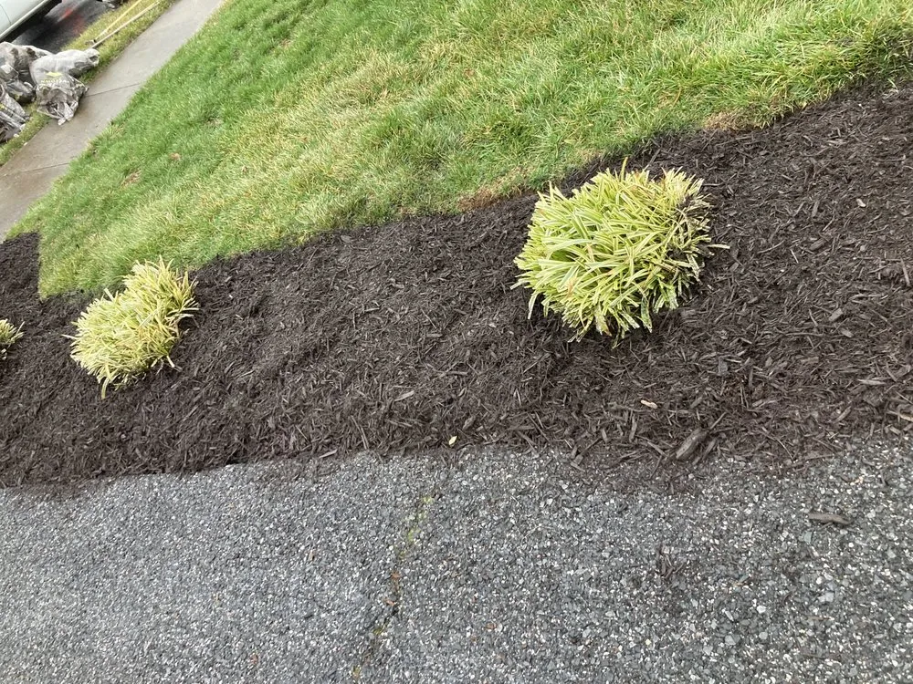 Trusted residential landscaping in Charles Town, WV by Panhandle Property Services
