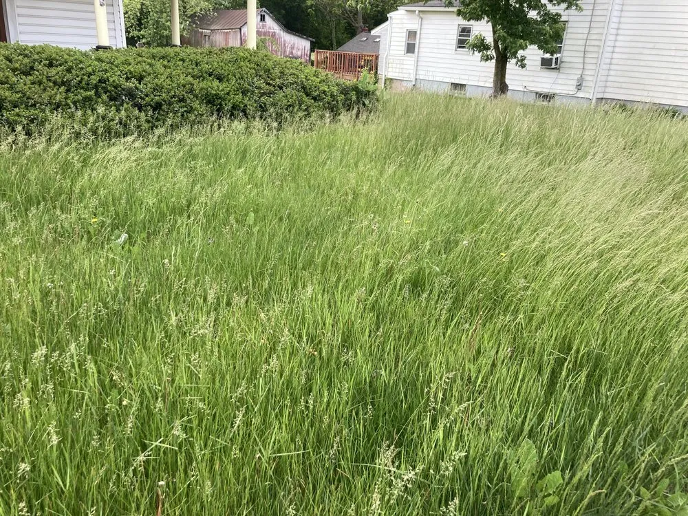 Professional landscaping services in Charles Town, WV - Panhandle Property Services