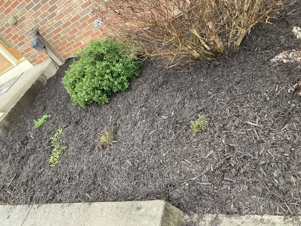 Trusted outdoor landscaping for residential properties in Charles Town, WV by Panhandle Property Services