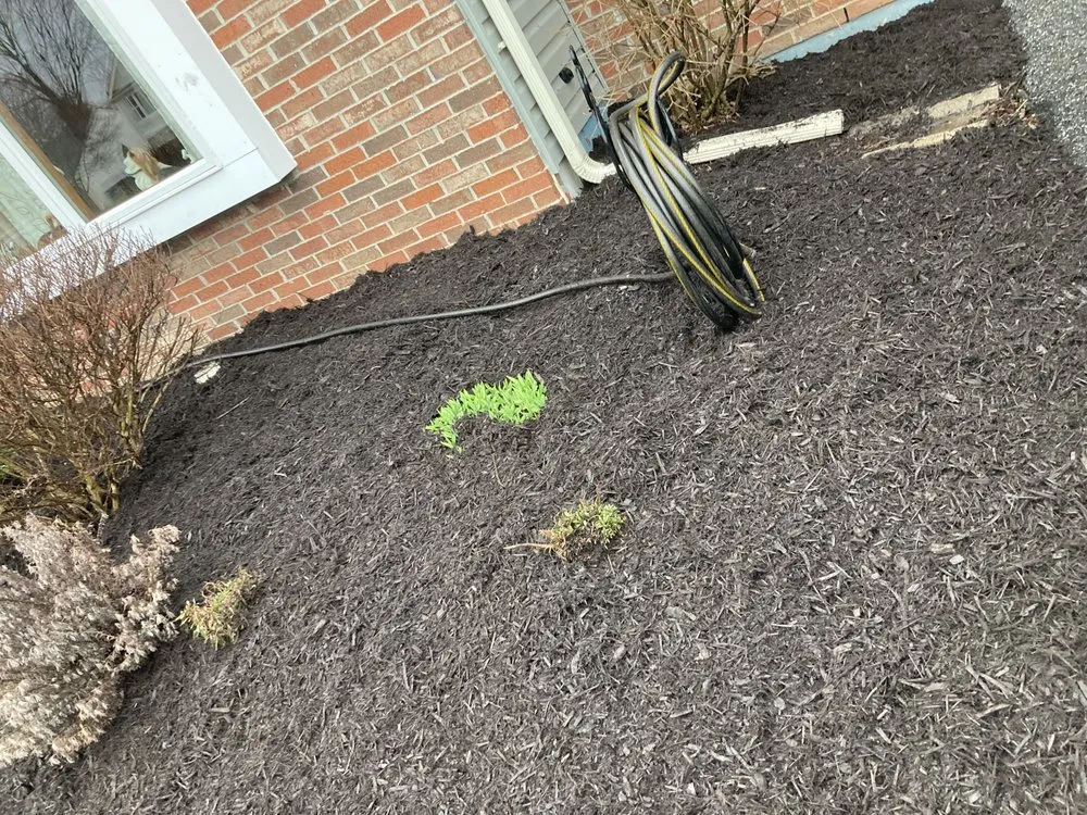 Professional yard cleanup service for homes in Charles Town, WV by Panhandle Property Services