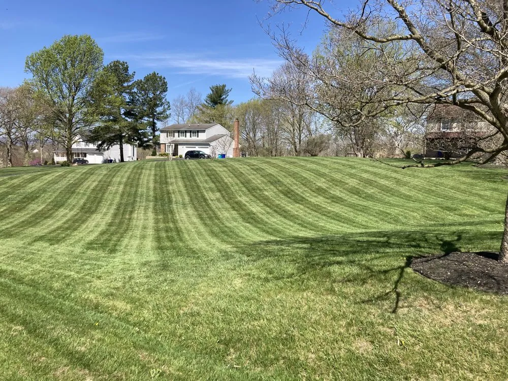 Trusted yard cleanup service experts serving Charles Town, WV - Panhandle Property Services