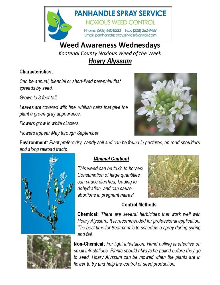 Trusted outdoor landscaping experts serving Athol, ID - Panhandle Spray Service