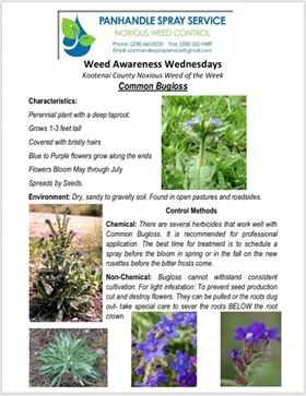 Professional outdoor landscaping in Athol, ID - Panhandle Spray Service