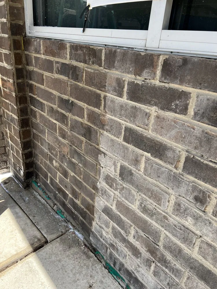 Reliable yard cleanup service experts serving San Antonio, TX - Paniagua Pressure Washing