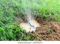 Professional yard cleanup service near you across Davenport, FL - Paniss Irrigation System