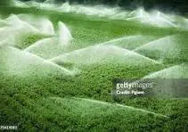 Trusted lawn mowing service in Davenport, FL - Paniss Irrigation System