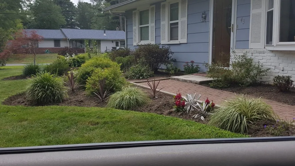 Professional residential landscaping experts serving Davenport, FL - Paniss Irrigation System