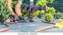 Top-rated landscape design for outdoor upgrades across Davenport, FL - Paniss Irrigation System