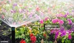 Custom landscape installation for outdoor upgrades in Davenport, FL by Paniss Irrigation System