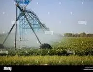 Reliable lawn mowing service for outdoor upgrades in Davenport, FL by Paniss Irrigation System