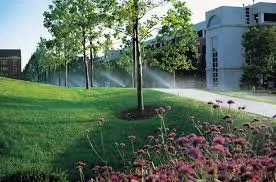 Local landscape design experts serving Davenport, FL - Paniss Irrigation System