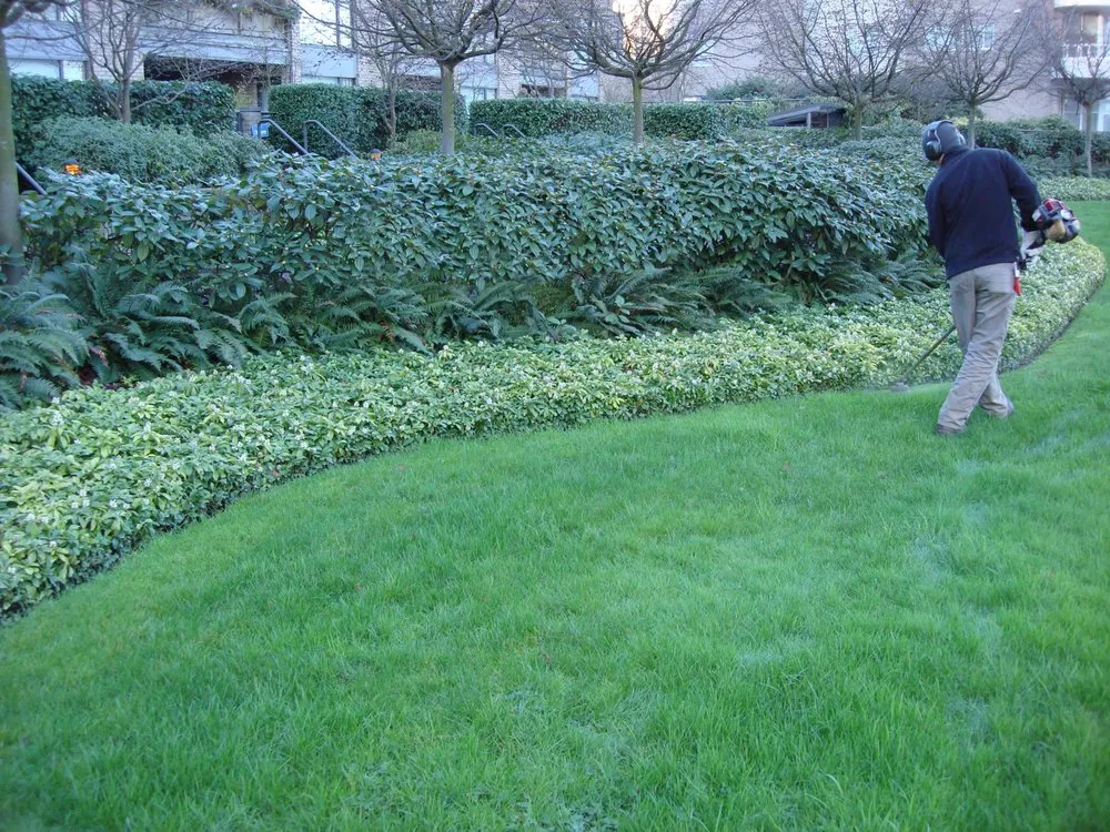 Top-rated garden landscaping for homes in Harlem, GA by Pankonin Lawn Care