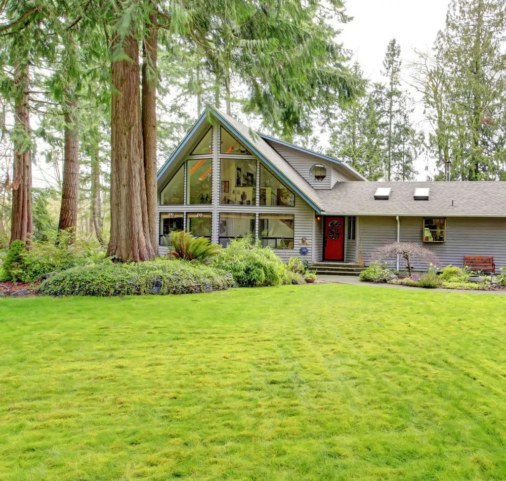 Top-rated yard cleanup service in Harlem, GA by Pankonin Lawn Care