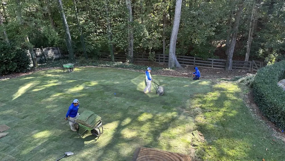 Top-rated yard maintenance in Cumming, GA by Pannone's Lawn Pros & Landscaping