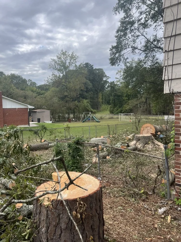 Affordable yard maintenance near you in Atlanta, GA by Pano Landscaping Services