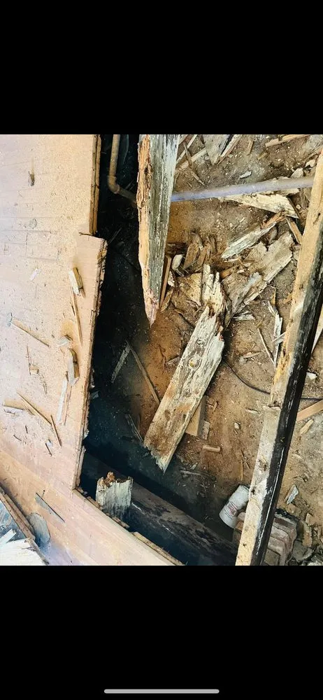 Trusted yard maintenance experts serving Carthage, TX - Panola Home Solutions