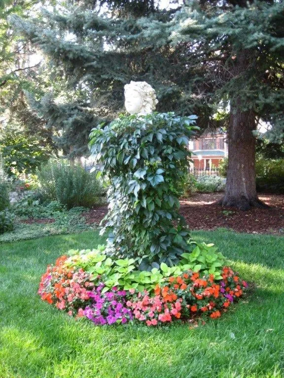 Top-rated garden landscaping experts serving Longmont, CO - Panorama Coordinated Services