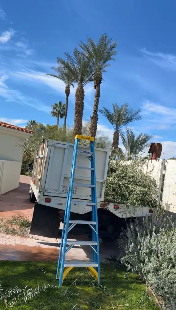 Trusted landscaping services in Indio, CA - Panorama Landscaping