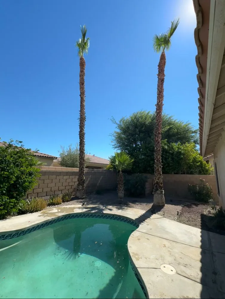 Reliable outdoor landscaping experts serving Indio, CA - Panorama Landscaping