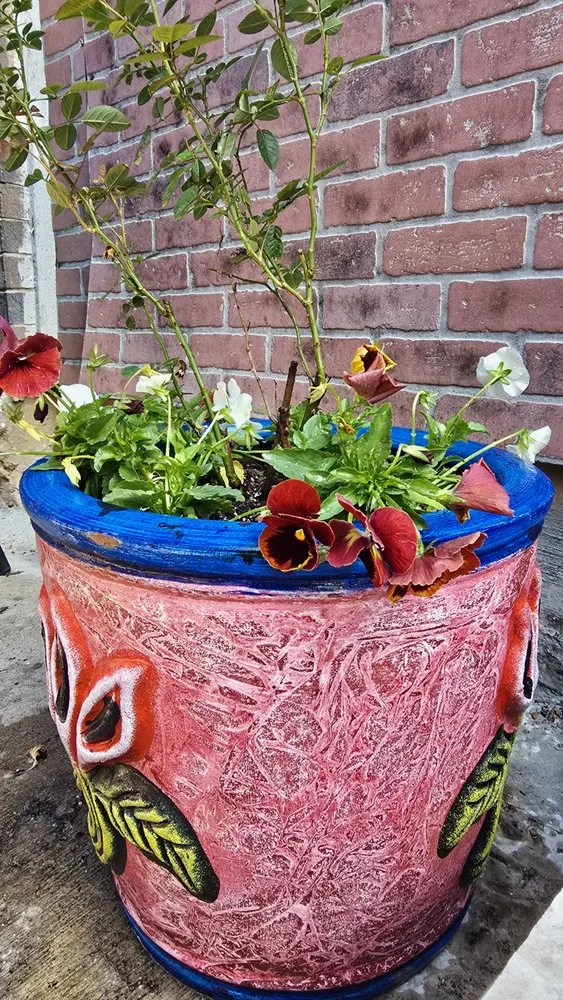 Reliable lawn care service in Dallas, TX - Panoramic Landscape Solutions