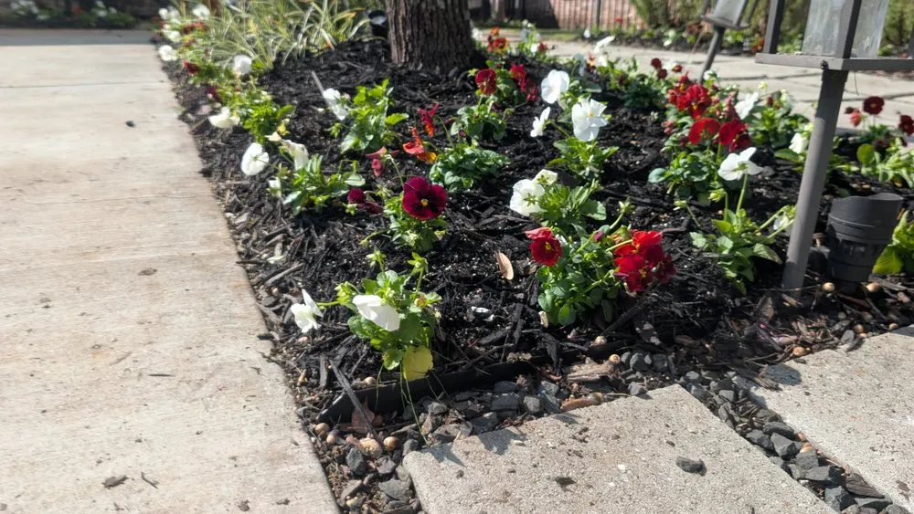 Local landscape installation for outdoor upgrades in Dallas, TX by Panoramic Landscape Solutions