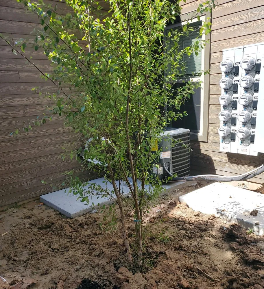 Affordable outdoor landscaping in Dallas, TX - Panoramic Landscape Solutions