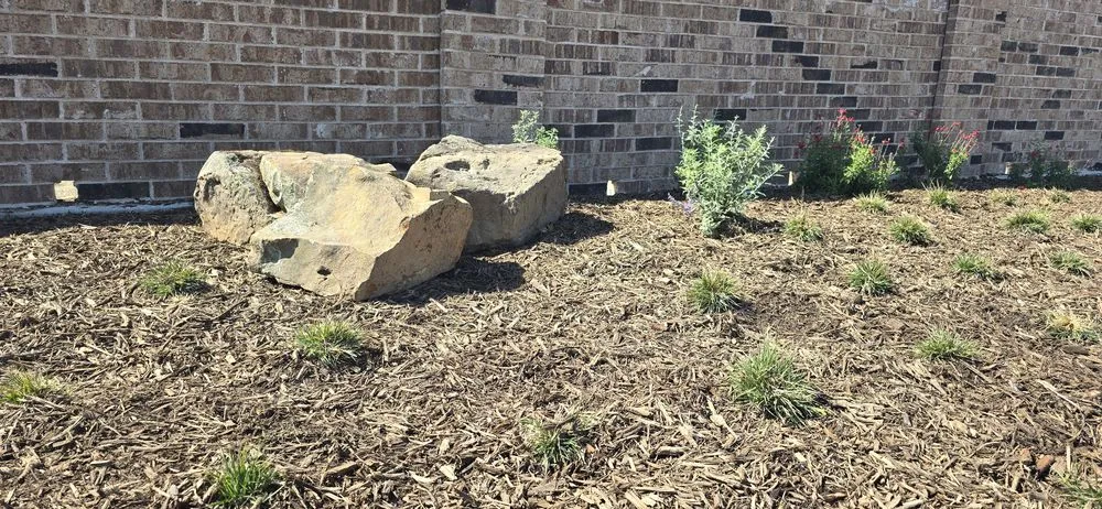 Local yard cleanup service experts serving Dallas, TX - Panoramic Landscape Solutions