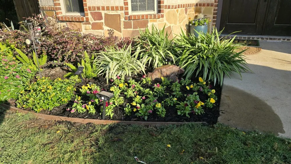 Local outdoor landscaping in Dallas, TX - Panoramic Landscape Solutions