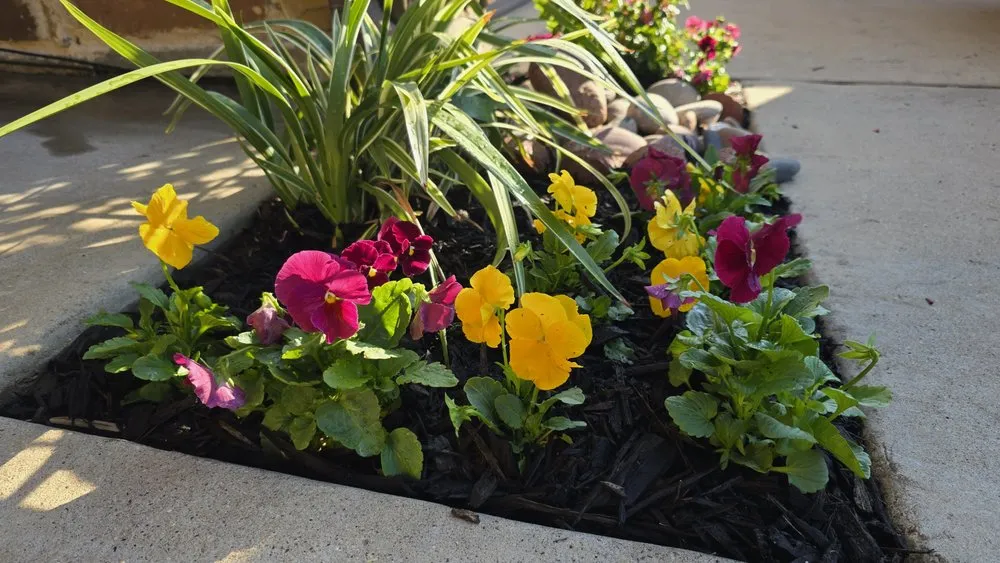 Custom lawn mowing service with custom design in Dallas, TX by Panoramic Landscape Solutions