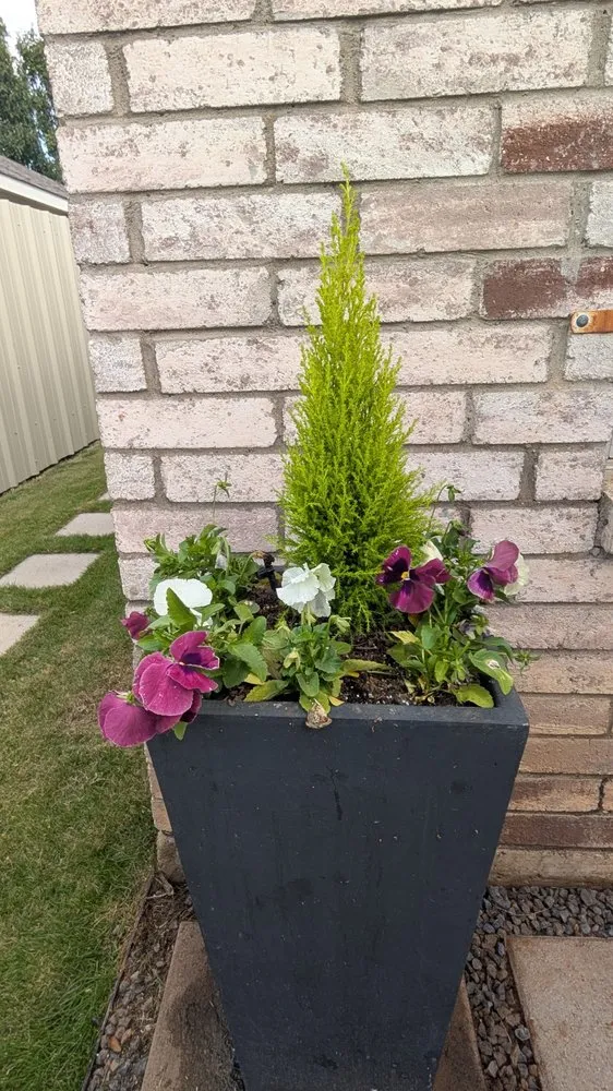 Reliable landscaping services in Dallas, TX by Panoramic Landscape Solutions