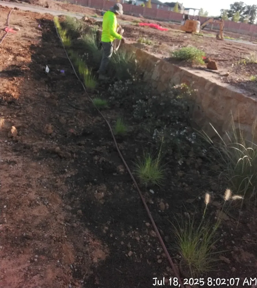 Expert outdoor landscaping for year-round maintenance across Dallas, TX - Panoramic Landscape Solutions