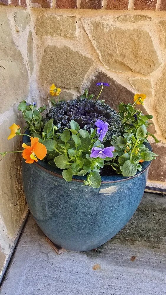 Professional lawn mowing service in Dallas, TX - Panoramic Landscape Solutions