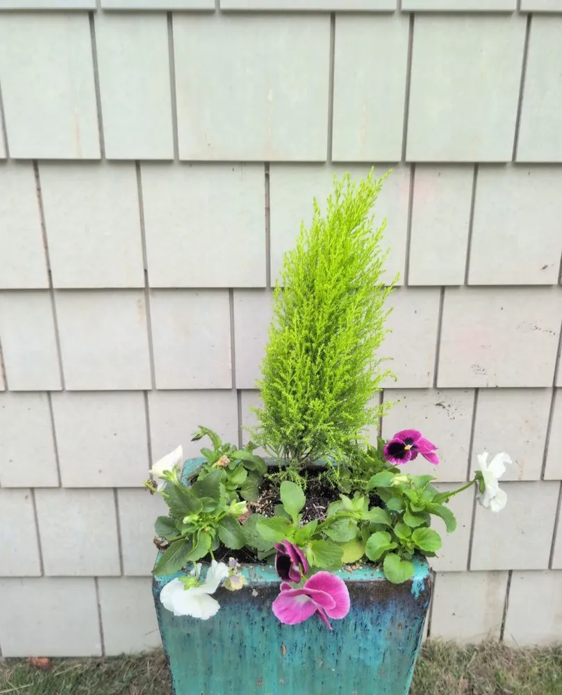 Affordable residential landscaping for residential properties across Dallas, TX - Panoramic Landscape Solutions