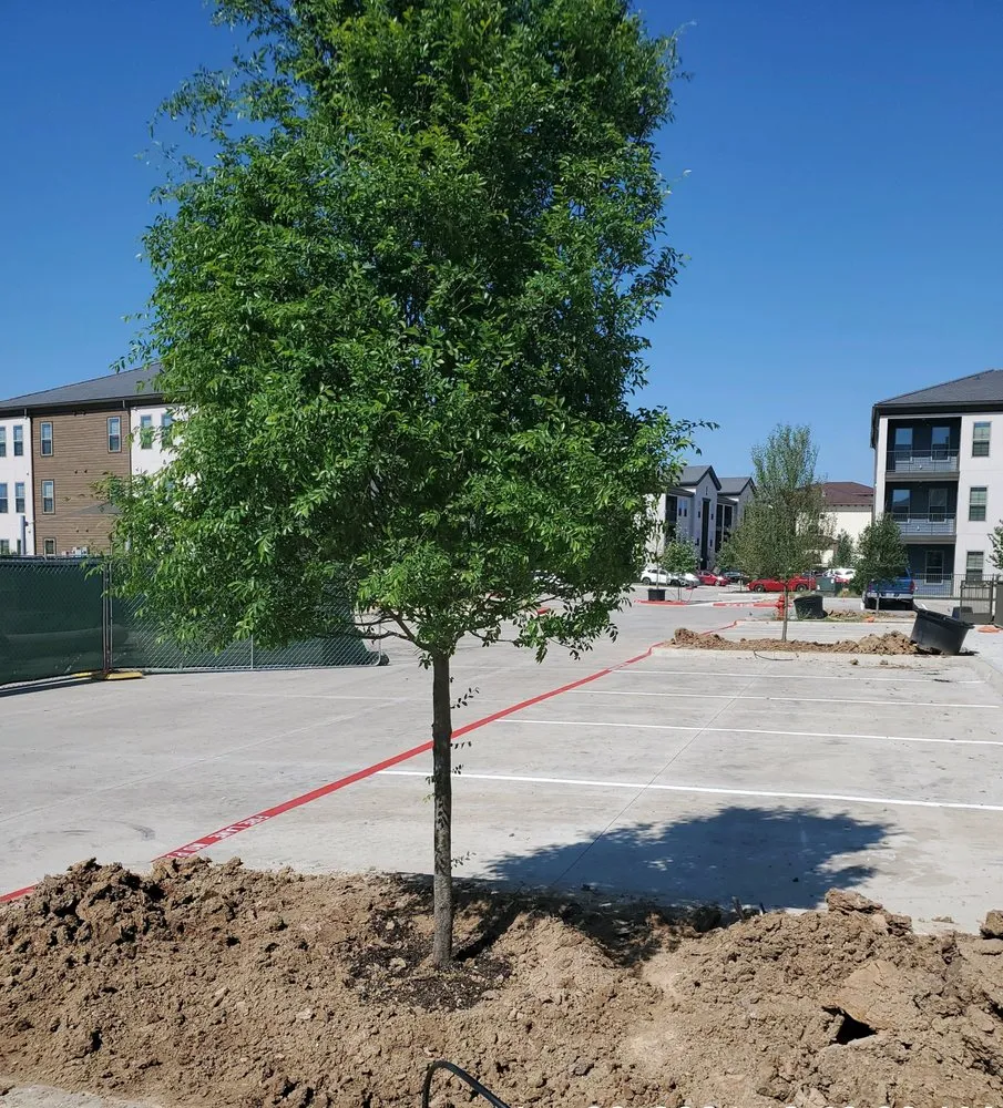 Affordable lawn mowing service in Dallas, TX by Panoramic Landscape Solutions