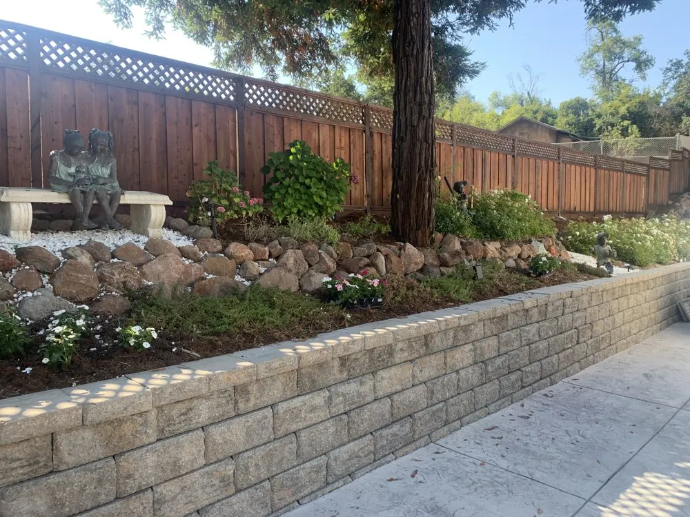 Professional lawn mowing service for year-round maintenance in Walnut Creek, CA by Panoramic Landscaping