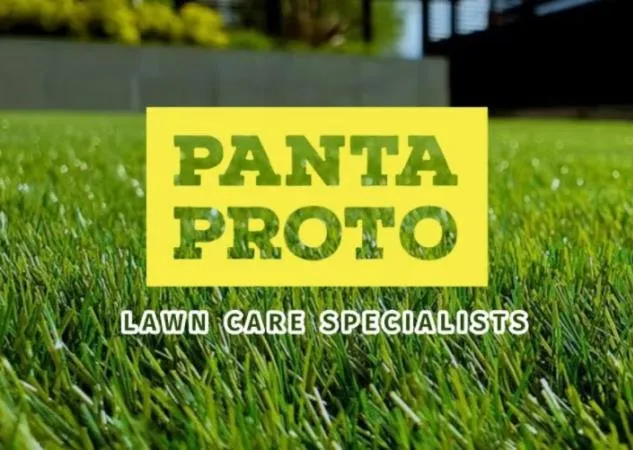 Trusted yard cleanup service for residential properties across Sarasota, FL - Panta Proto Lawn Care