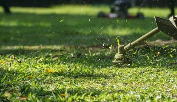 Panta Proto Lawn Care Logo