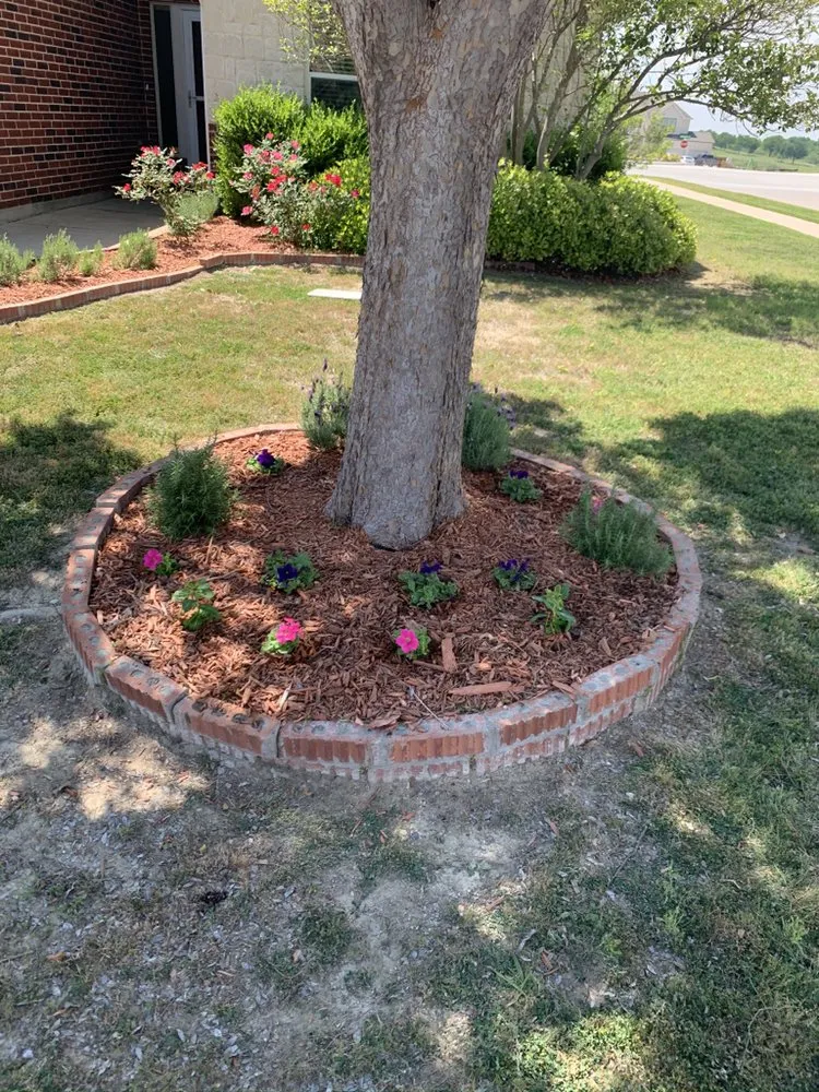 Local yard maintenance for outdoor upgrades across Fort Worth, TX - Panther City Lawn Care